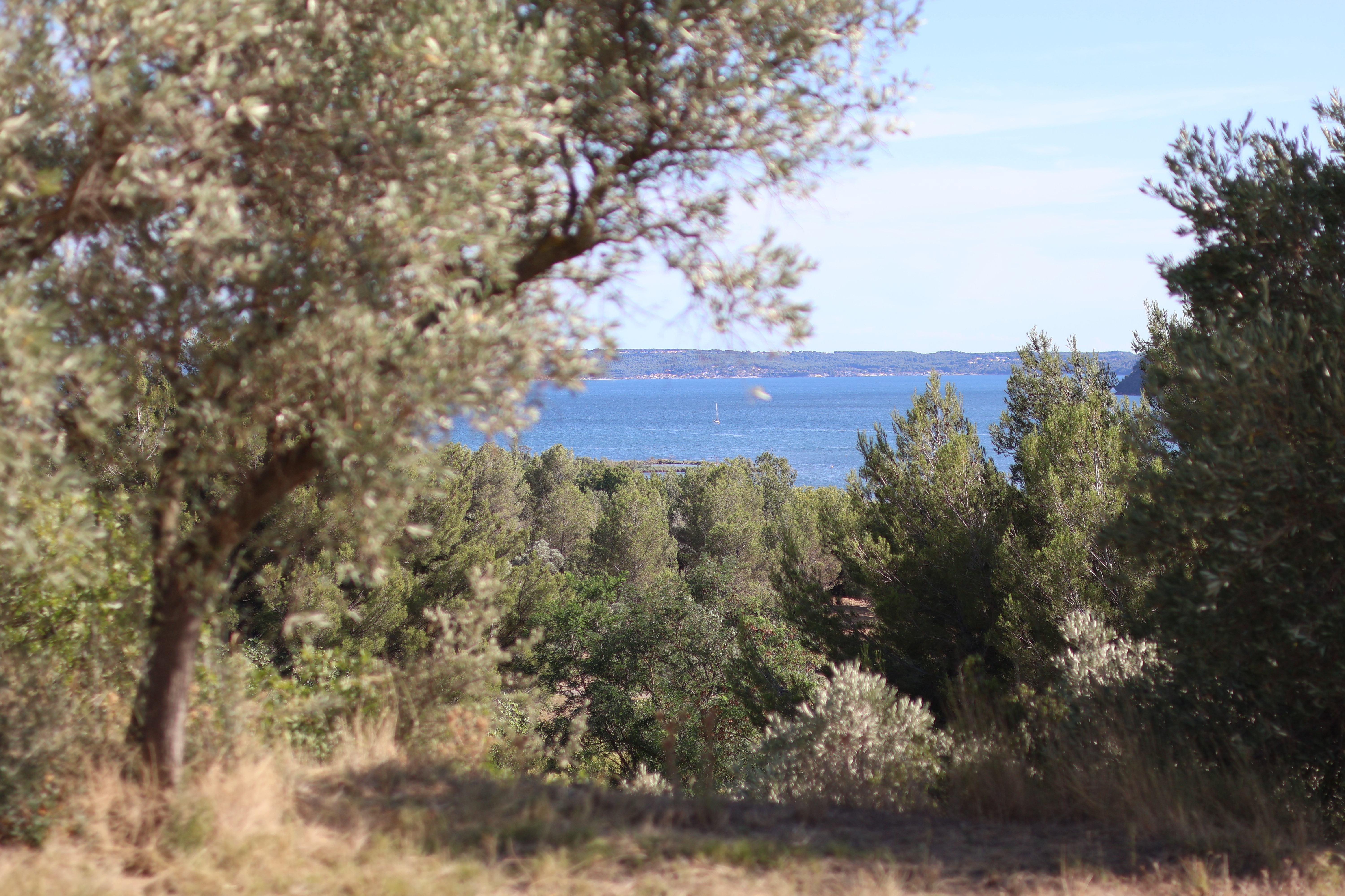 Le paysage du Domaine de Mathurin