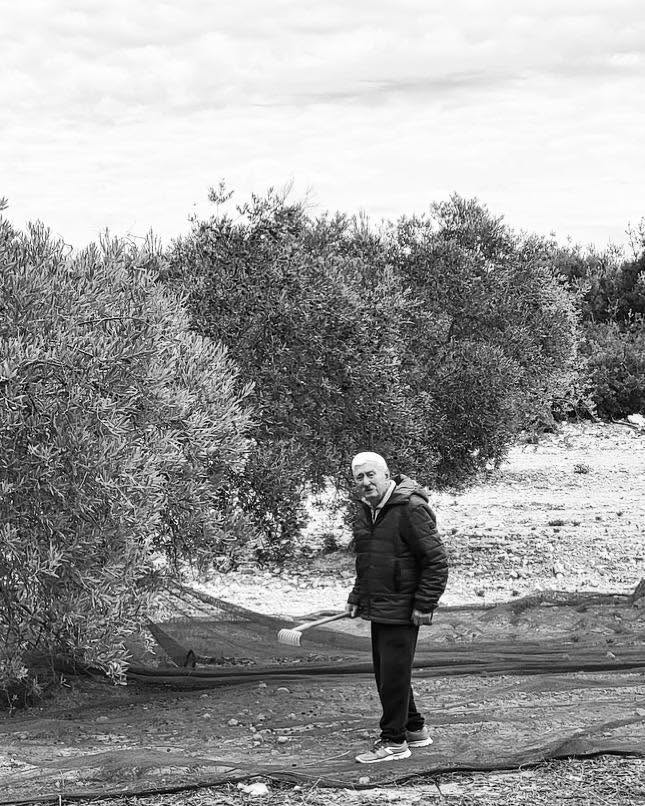 Gilbert Mathurin dans une oliveraie, photographie en noir et blanc